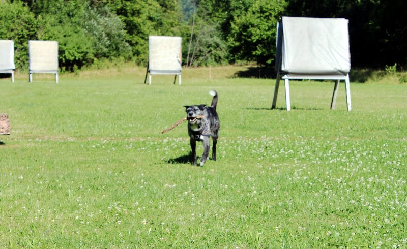 BSC-Deggingen Gallery