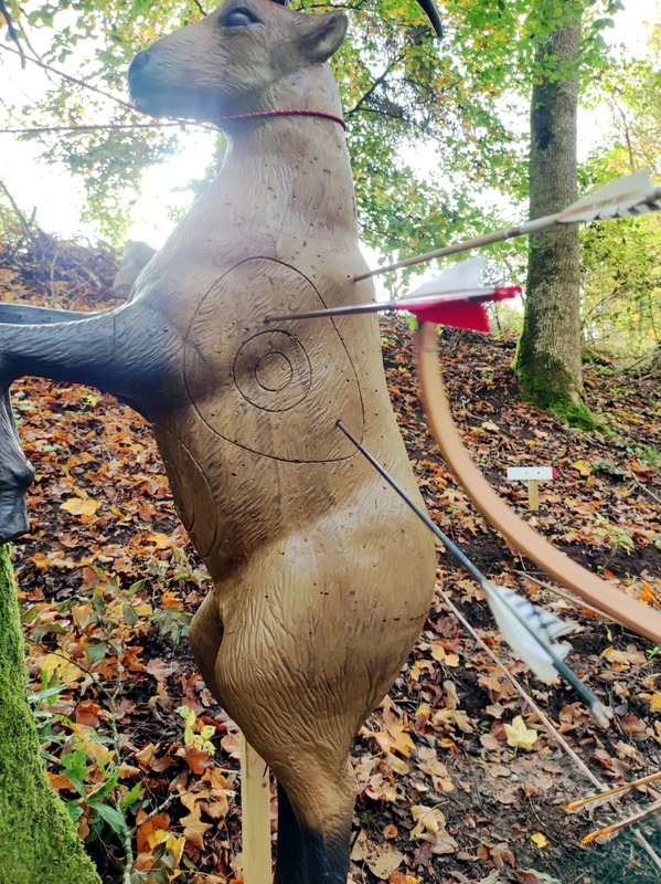 BSC-Deggingen Gallery