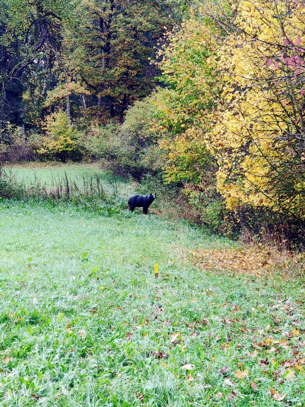 BSC-Deggingen Gallery