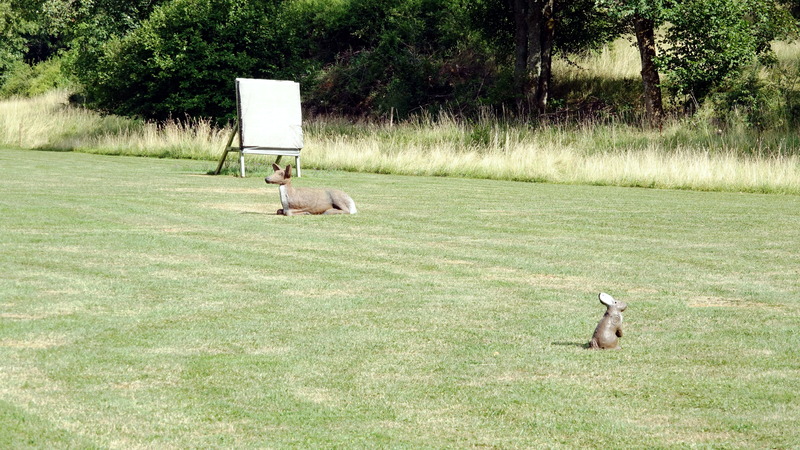 BSC-Deggingen Gallery