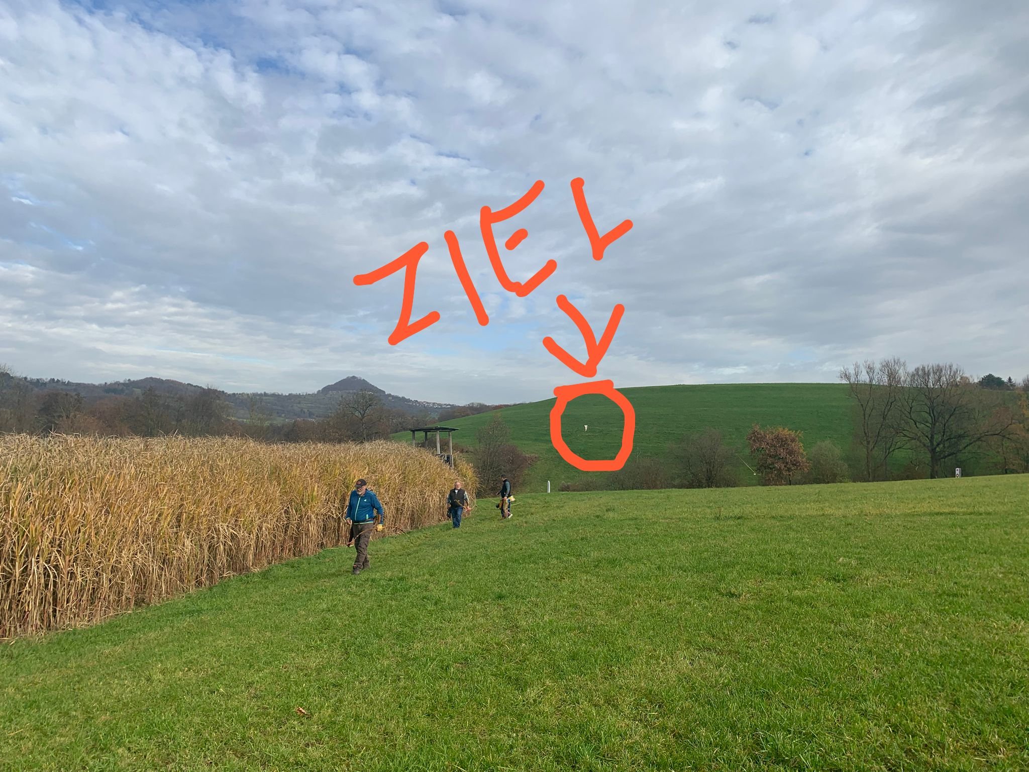 BSC-Deggingen Gallery